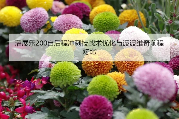 潘展乐200自后程冲刺技战术优化与波波维奇前程对比