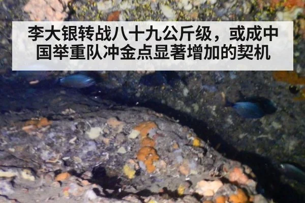 李大银转战八十九公斤级，或成中国举重队冲金点显著增加的契机