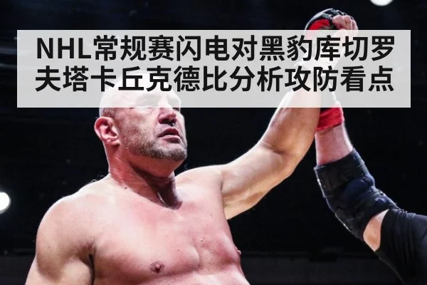 NHL常规赛闪电对黑豹库切罗夫塔卡丘克德比分析攻防看点